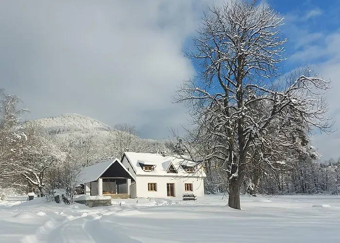 Nebesky 81 Villa *